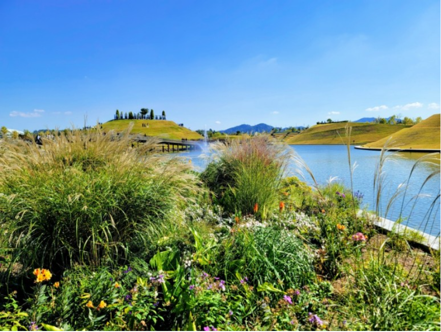 2023.순천만 국제정원박람회.총정리.가는길.입장권.일정.행사.주차장.정원에삽니다