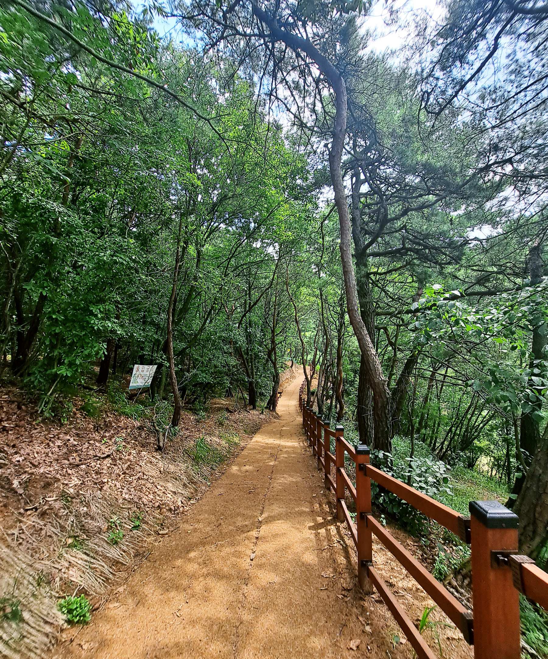 출렁다리 산책로 흙길