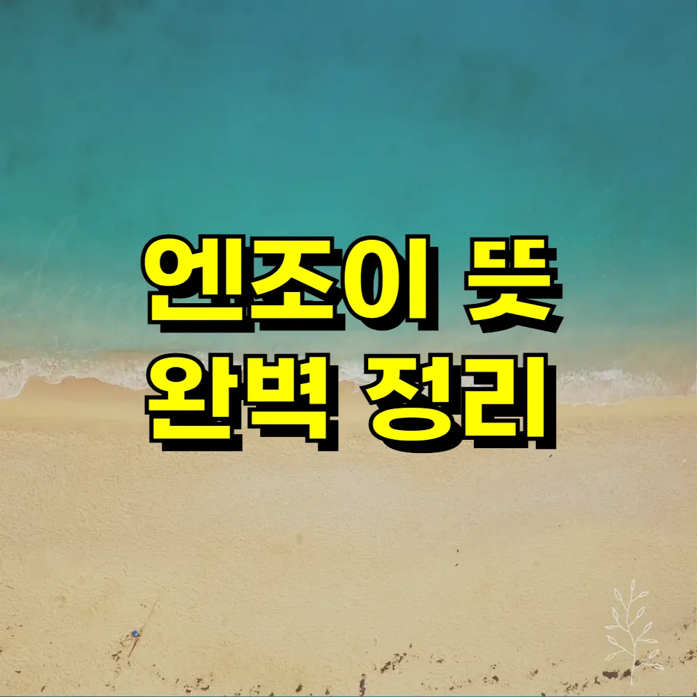 엔조이 뜻 완벽 정리