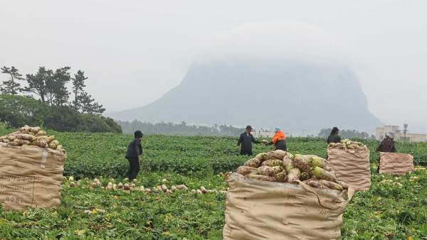 시범사업 지역선정