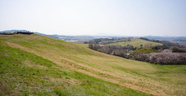 서산 한우목장 웰빙산책로, 충남 서산의 숨은 산책 명소