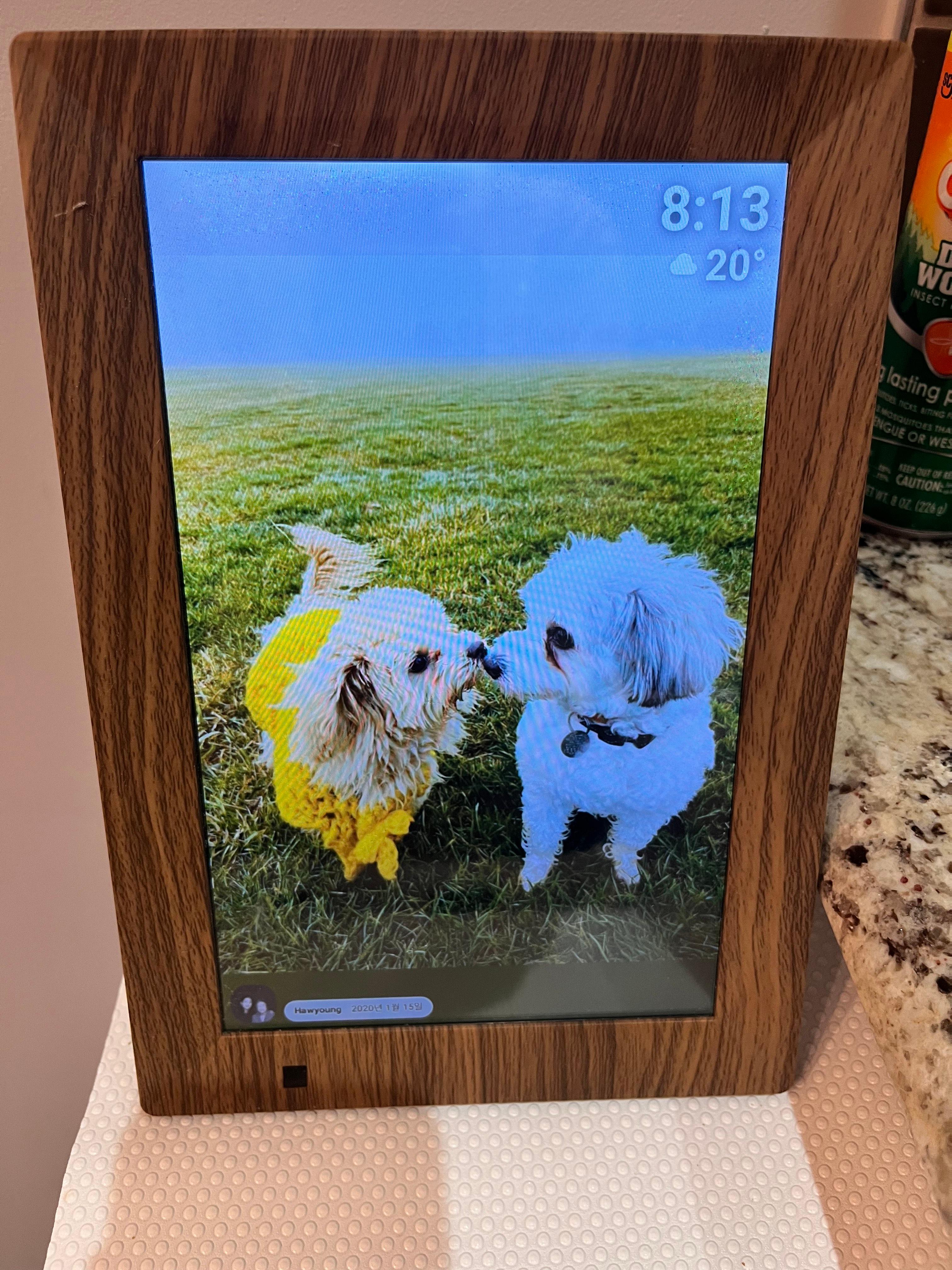 디지털 액자 속에 강아지 두마리 있는 모습