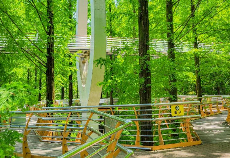 장태산 자연휴양림