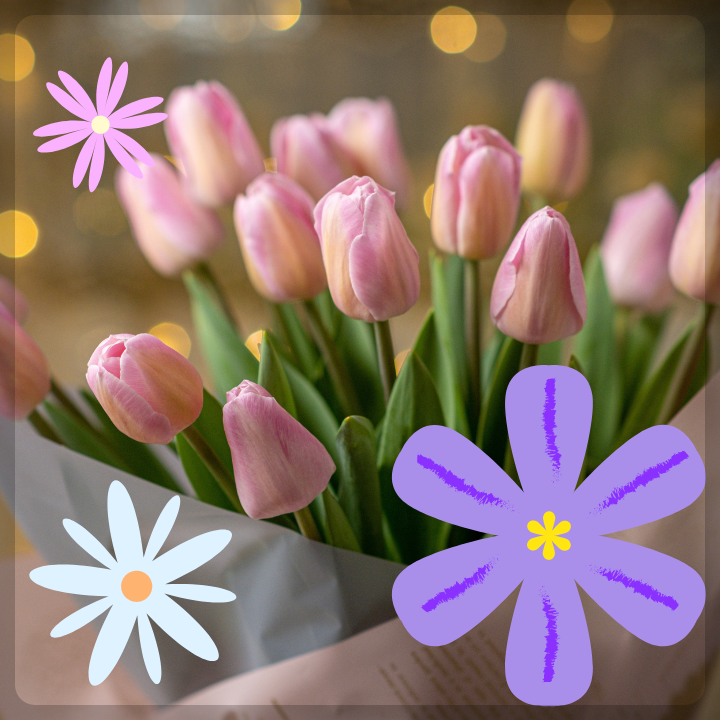 카멜리아힐-입장료