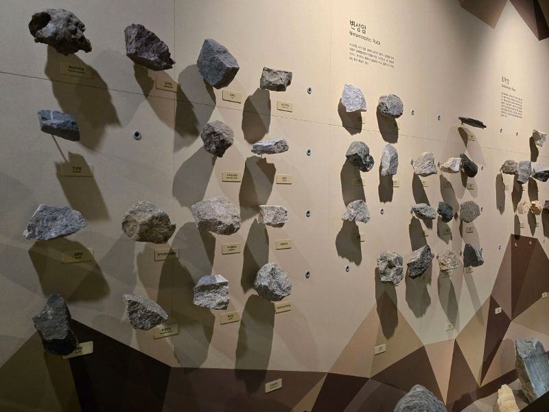 강화자연사박물관