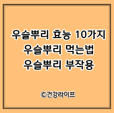 우슬뿌리 효능 10가지, 우슬뿌리 먹는법, 우슬뿌리 부작용