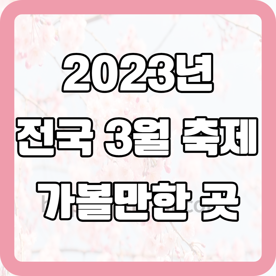 2023 전국 3월 축제 가볼만한 곳