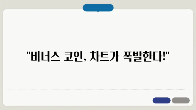 비너스 코인 전망 시세정보