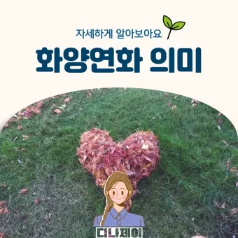 화양연화 의미 해석 한자 뜻 문화적 배경 정리_26