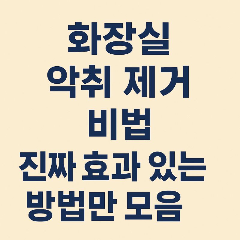화장실 악취 제거 비법 – 진짜 효과 있는 방법만 모음