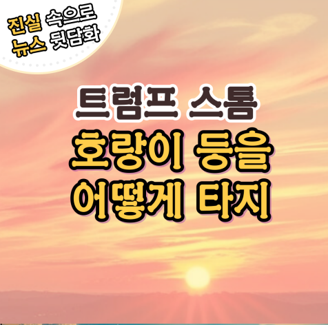 '트럼프 스톰' 호랑이 등을 어떻게 타지?