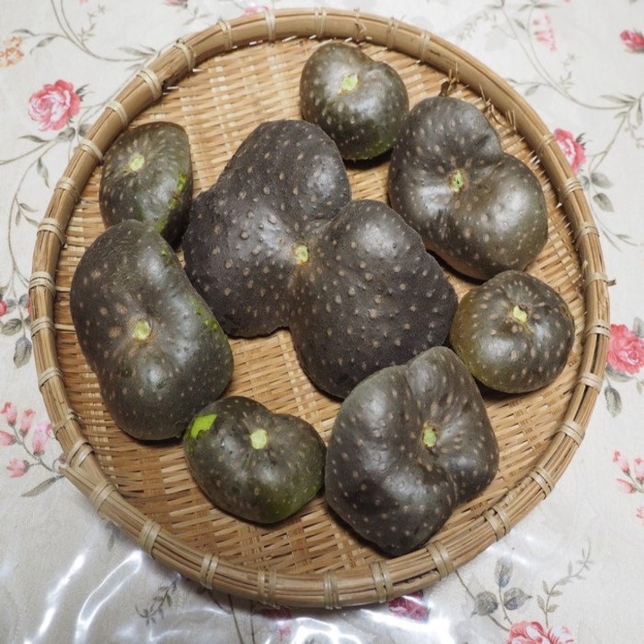 하늘마 효능 및 부작용 정리