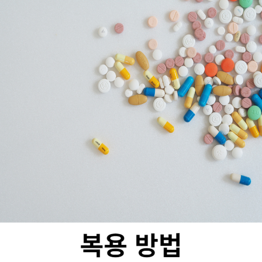 프로테오글리칸 복용 방법