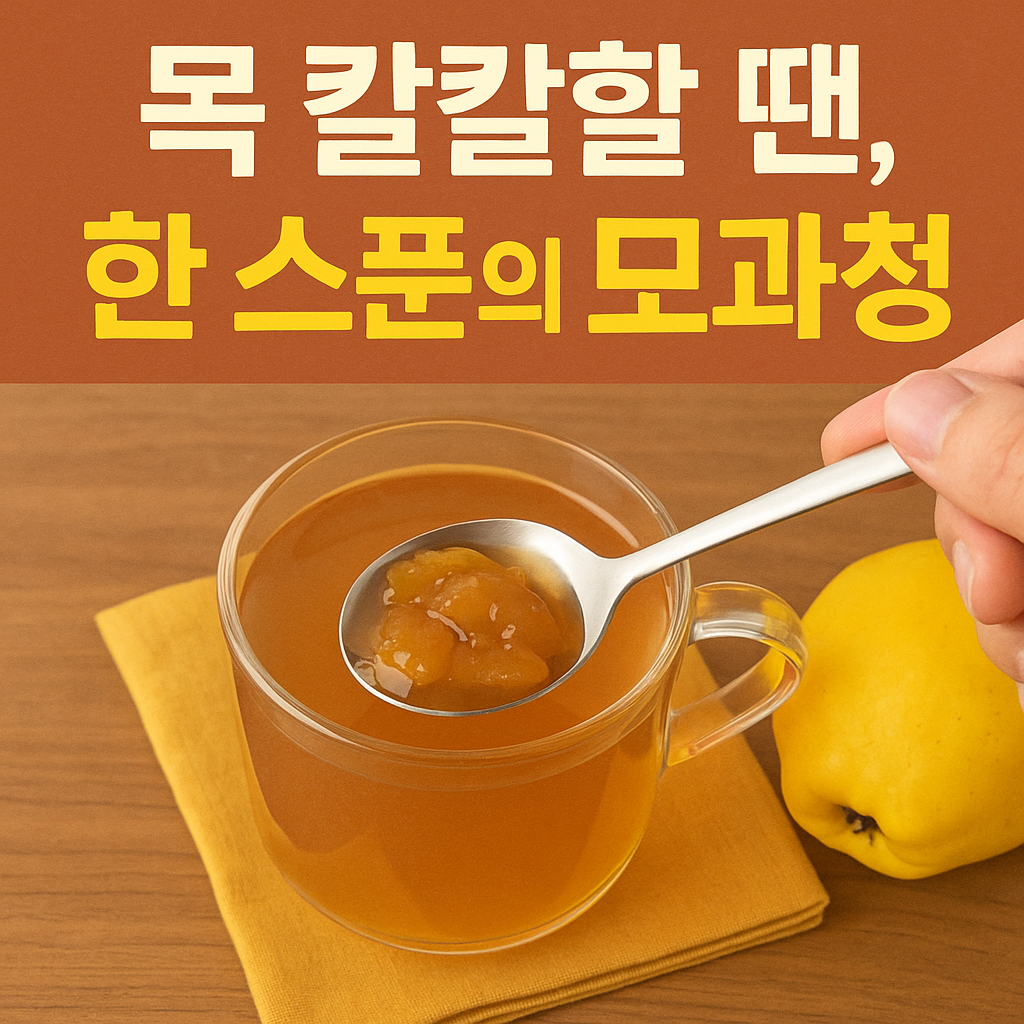 목 칼칼할 땐, 한 스푼의 모과청