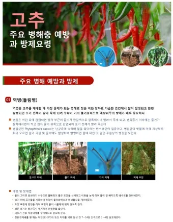 농사 병해충 예방법 진딧물 응애 노균병 탄저병 대처_15