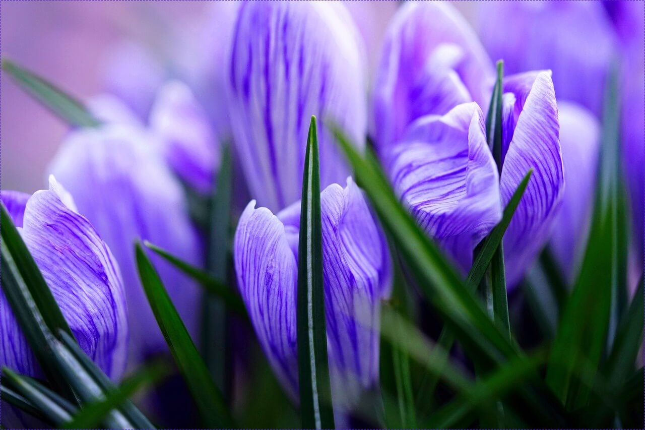 농협 적금 금리