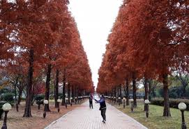 진주 가볼만한 곳 베스트 10