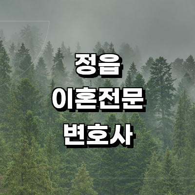 정읍시 이혼 변호사