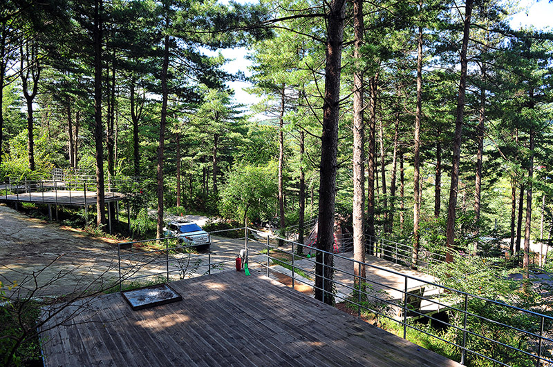 포천 나무새캠핑장 소개