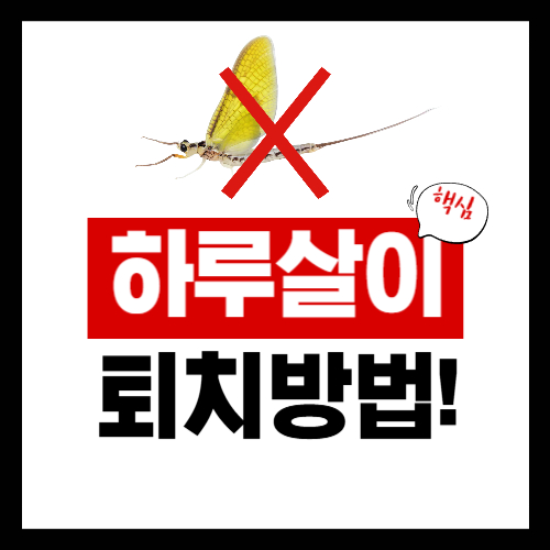 하루살이 퇴치법 총정리