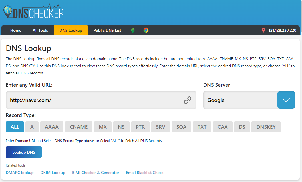 dns lookup 기능 사용해보기