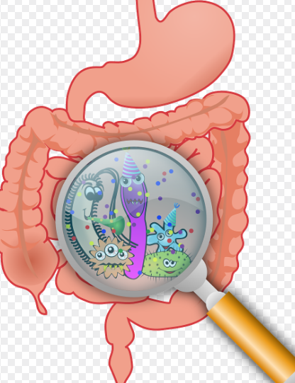 장건강의 이미지