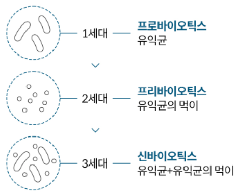 1-3세대 유산균