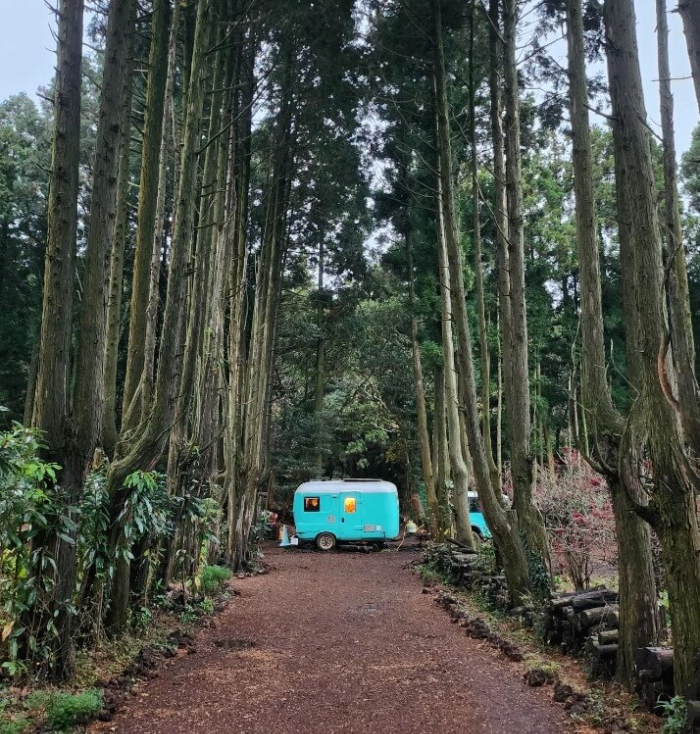 안돌오름 비밀의 숲