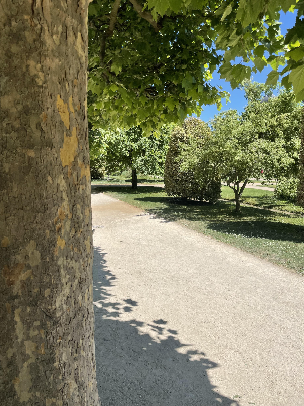 파리 식물원 : Jardin des Plantes