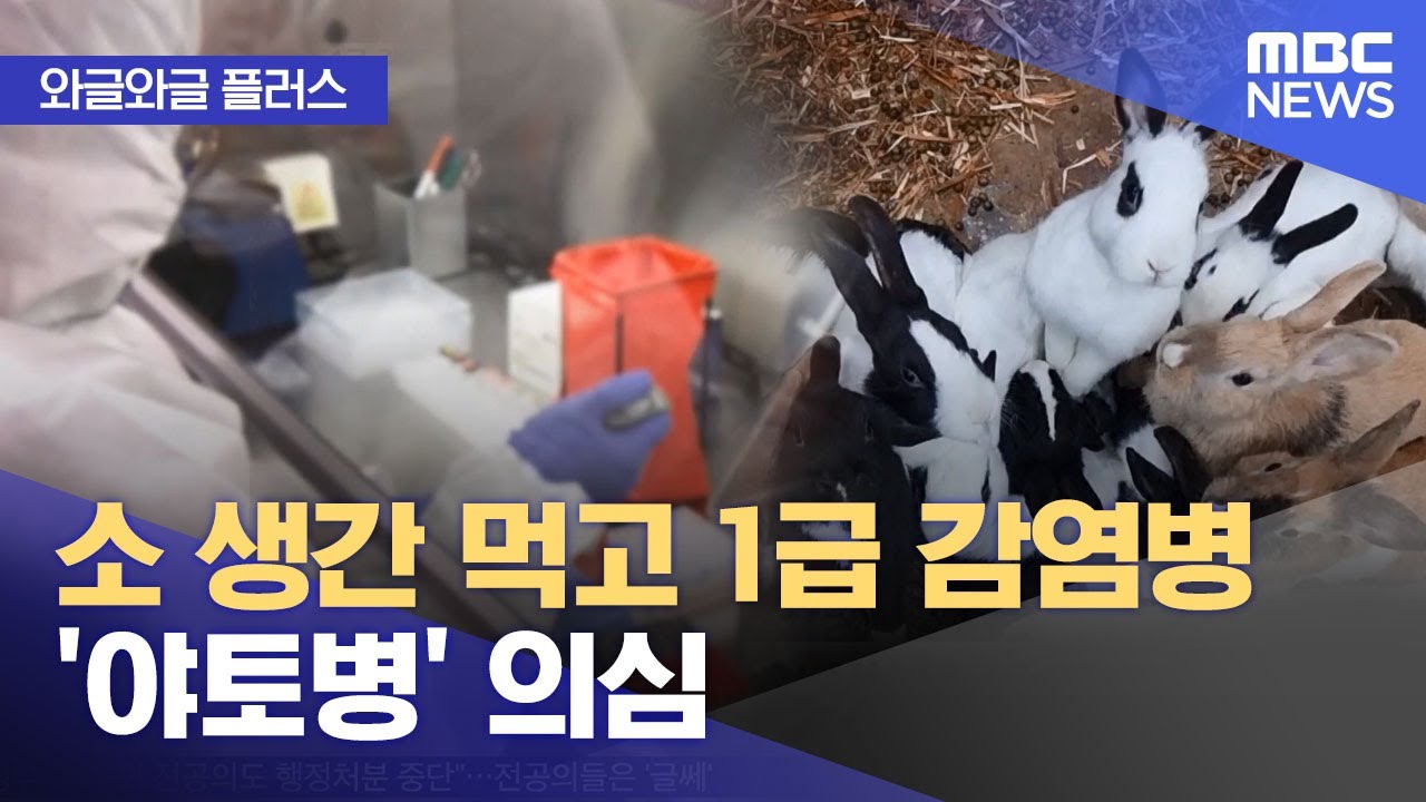 야토병 원인