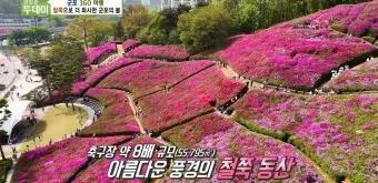 군포 가볼만한곳 베스트10 현지인 추천 필수코스_12