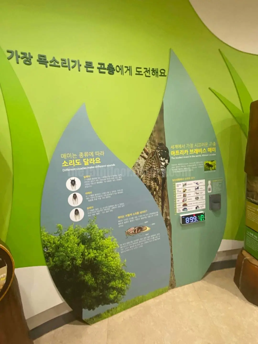 경남 의령 &amp;#39;의령 곤충생태학습관&amp;#39; (2층 &amp;#39;체험학습실&amp;#39;)