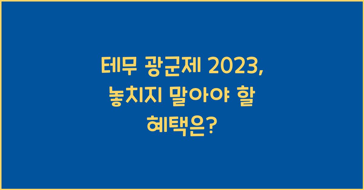 테무 광군제