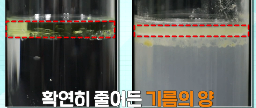 카무트 효소 효능