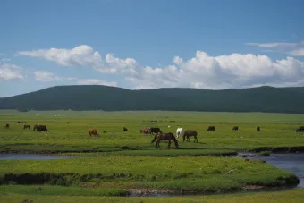 몽골 여행 날씨 필수 준비물_13