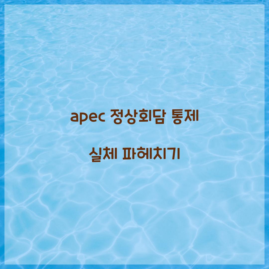 apec 정상회담 통제