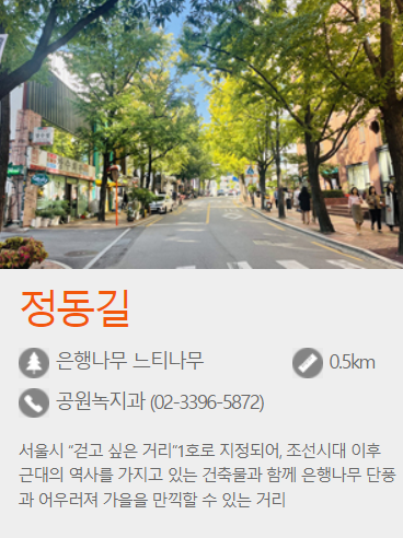 서울 단풍