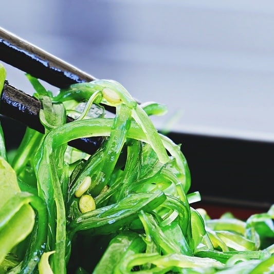 샐러드 채소 종류