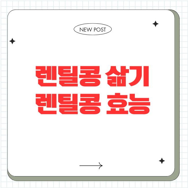 렌틸콩 삶기 렌틸콩 효능