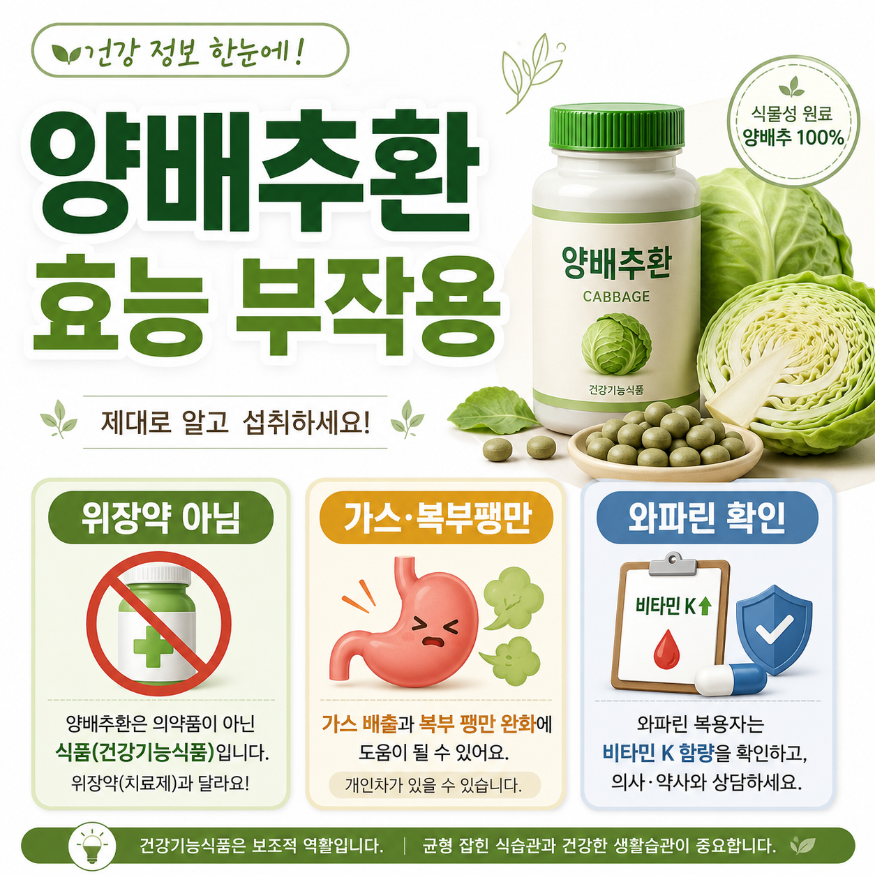 양배추환과 위장약 차이, 가스·복부팽만, 양배추즙·분말·환 제품 형태, 비타민 K와 와파린 복용을 확인하는 카드형 이미지