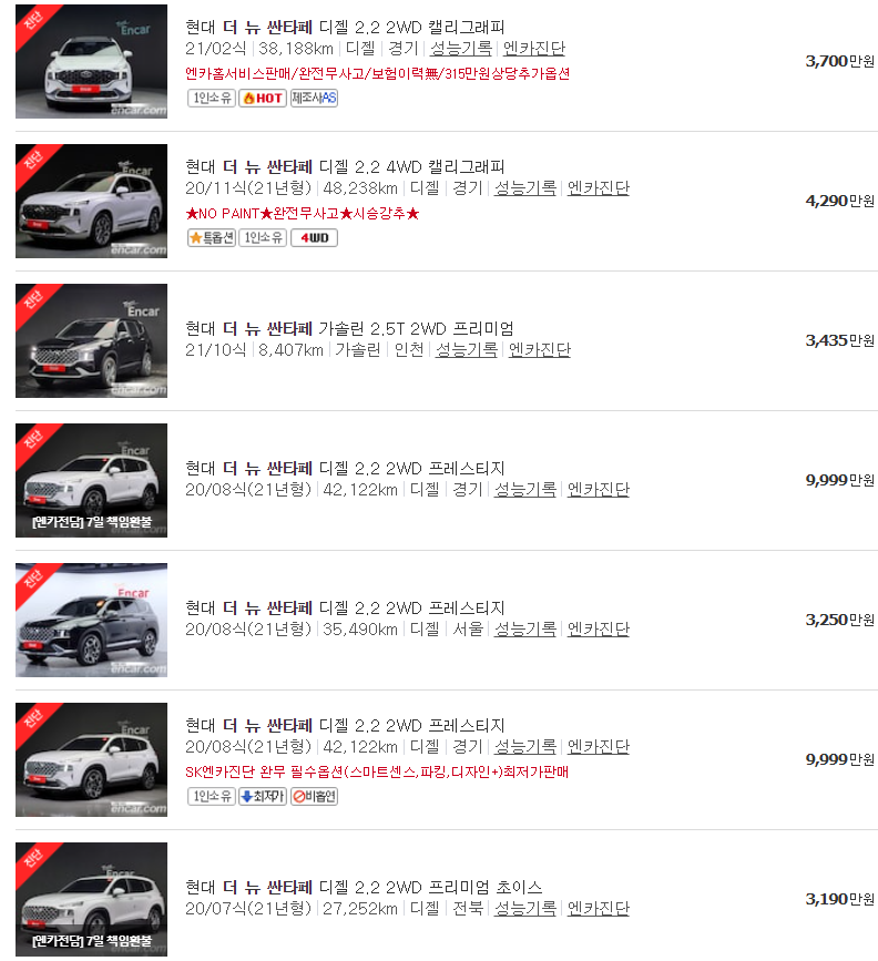 더 뉴 싼타페 중고차 매물