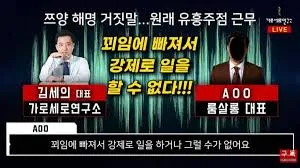 가로세로연구소-김세의