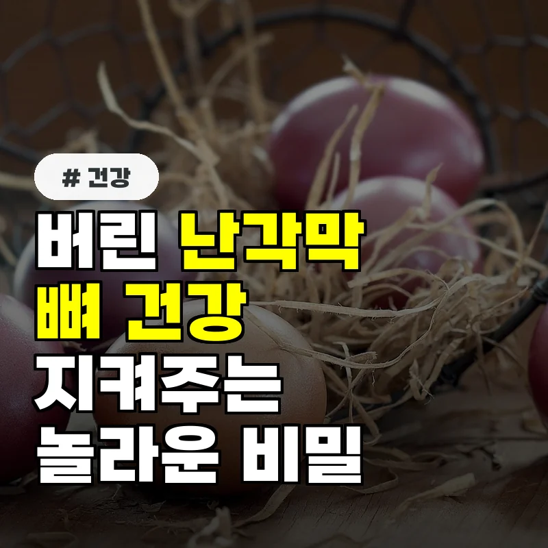 계란 먹고 버린 난각막, 의외로 뼈 건강까지 지켜주는 놀라운 비밀