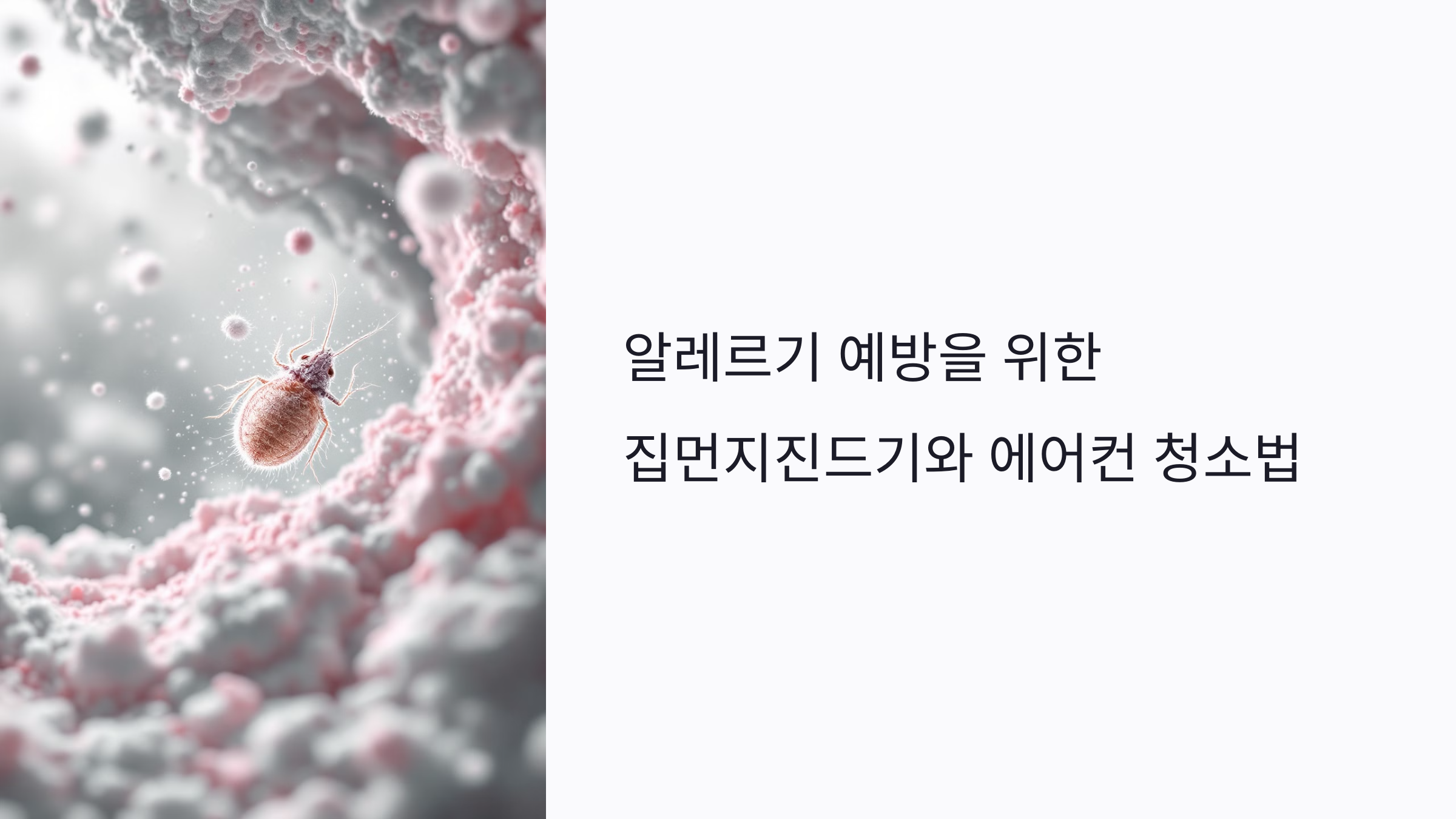 집먼지진드기와 에어컨 청소로 알레르기 예방하는 방법 7가지