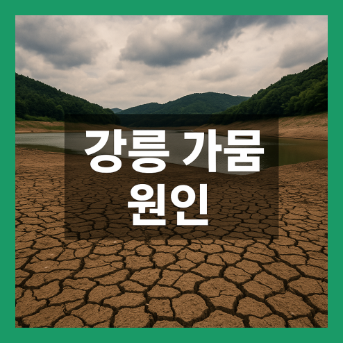 강릉 가뭄 원인, 정부 대응 및 절수 실천 방법 정리