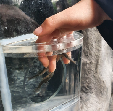  2024년도 대전 한밭수목원 곤충생태관 나비축제 체험