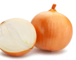 양파사진2