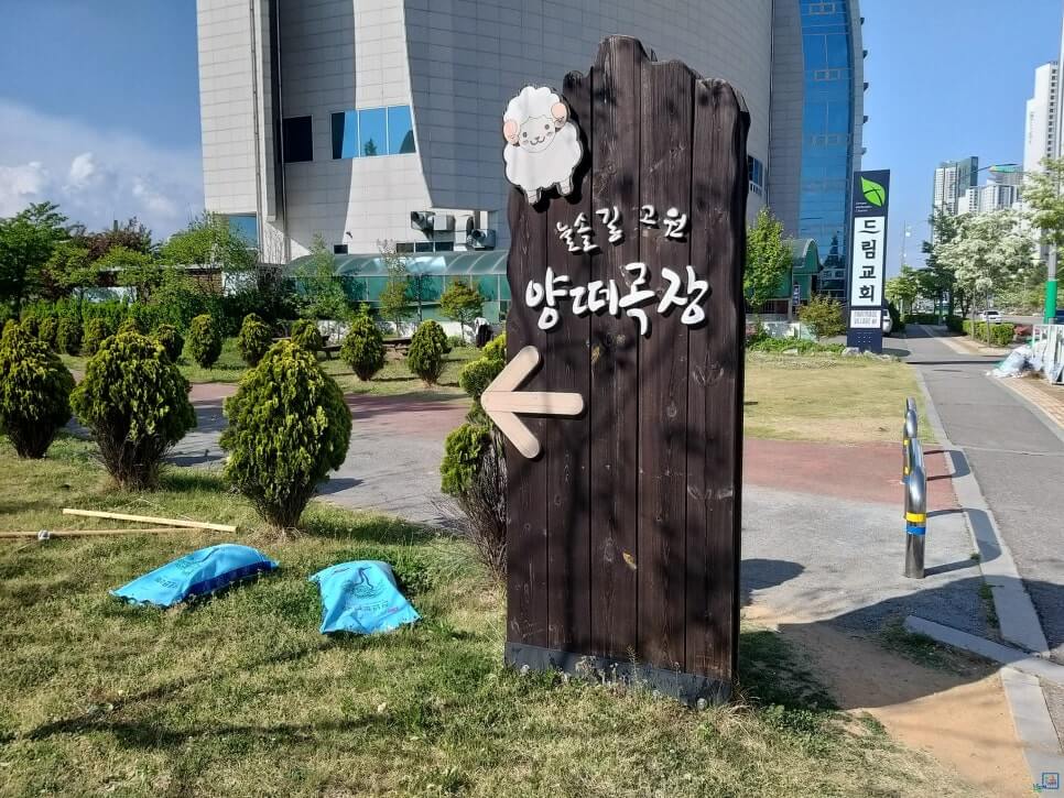 늘솔길공원양떼목장