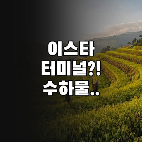 이스타항공 인천공항 출발 전 확인할 ..