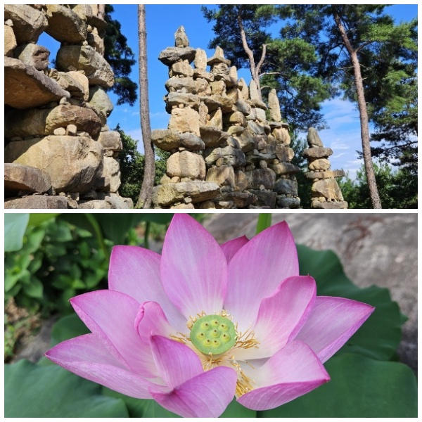 연꽃과 돌탑
